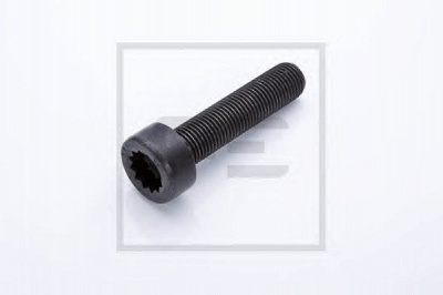 PE AUTOMOTIVE 01016200a -  Болт маховика